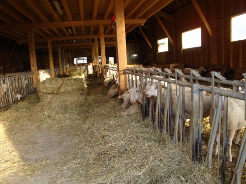 La bergerie des roches